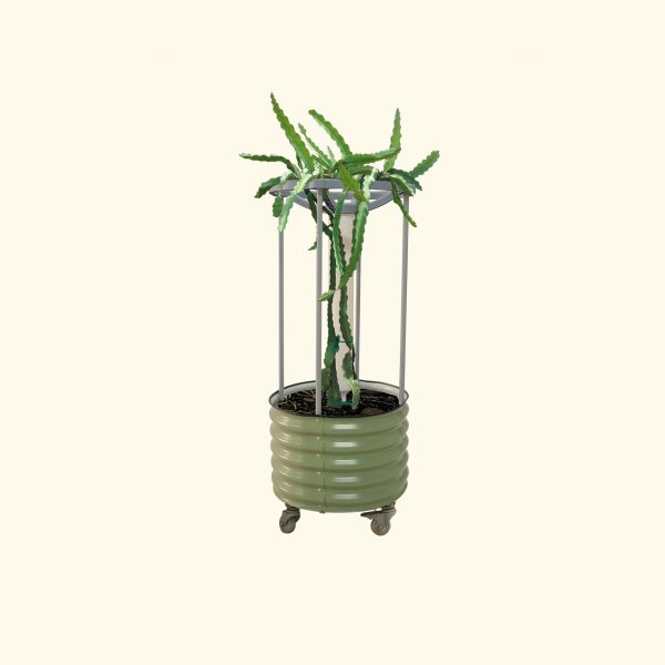Dragon Fruit Self-Watering Rolling Planter - Image 2